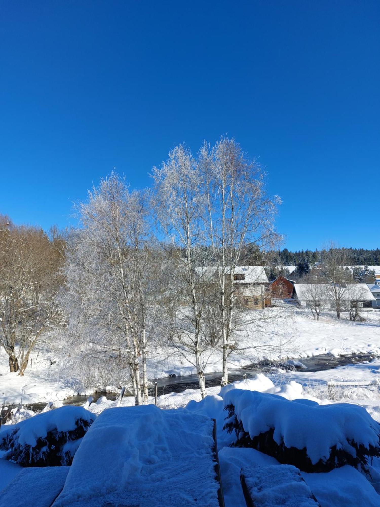 Wellness Chata Rosnatka Kvilda Buitenkant foto