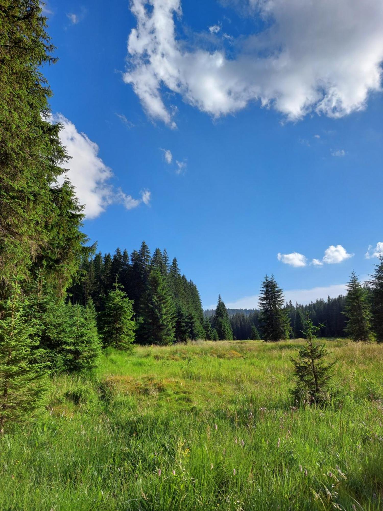 Wellness Chata Rosnatka Kvilda Buitenkant foto
