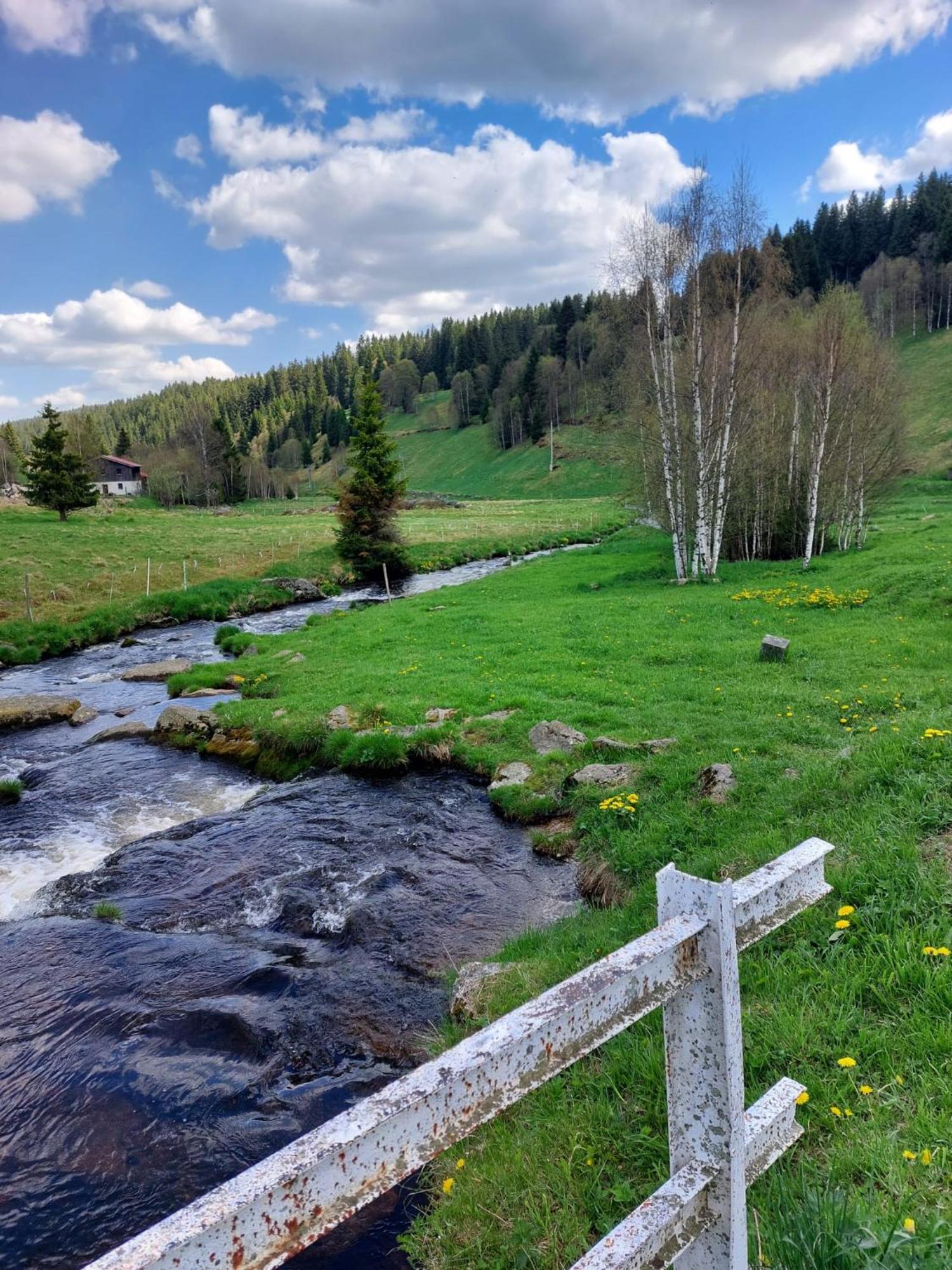 Wellness Chata Rosnatka Kvilda Buitenkant foto